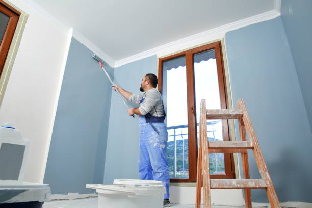 Best Attic Mold Removal  in West Carthage, NY
