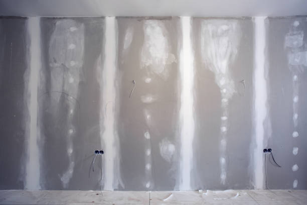 Best Emergency Mold Remediation  in West Carthage, NY